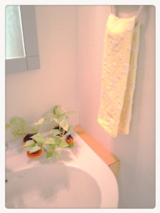 washroom_001.JPG