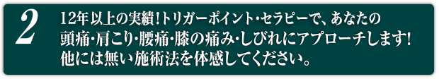 2.10年の実績！トリガーポイント・セラピーで、あなたの頭痛や、頑固な肩こり、腰痛から膝の痛みやしびれにアプローチします！他には無い施術法を体感してください。